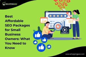 Best Affordable SEO Packages for Small Business Owners